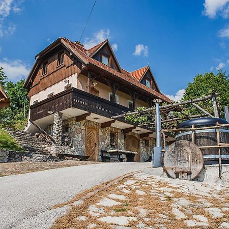 Authentic Countryside Villa With Hot Tub Veliki Kamen Exteriér fotografie